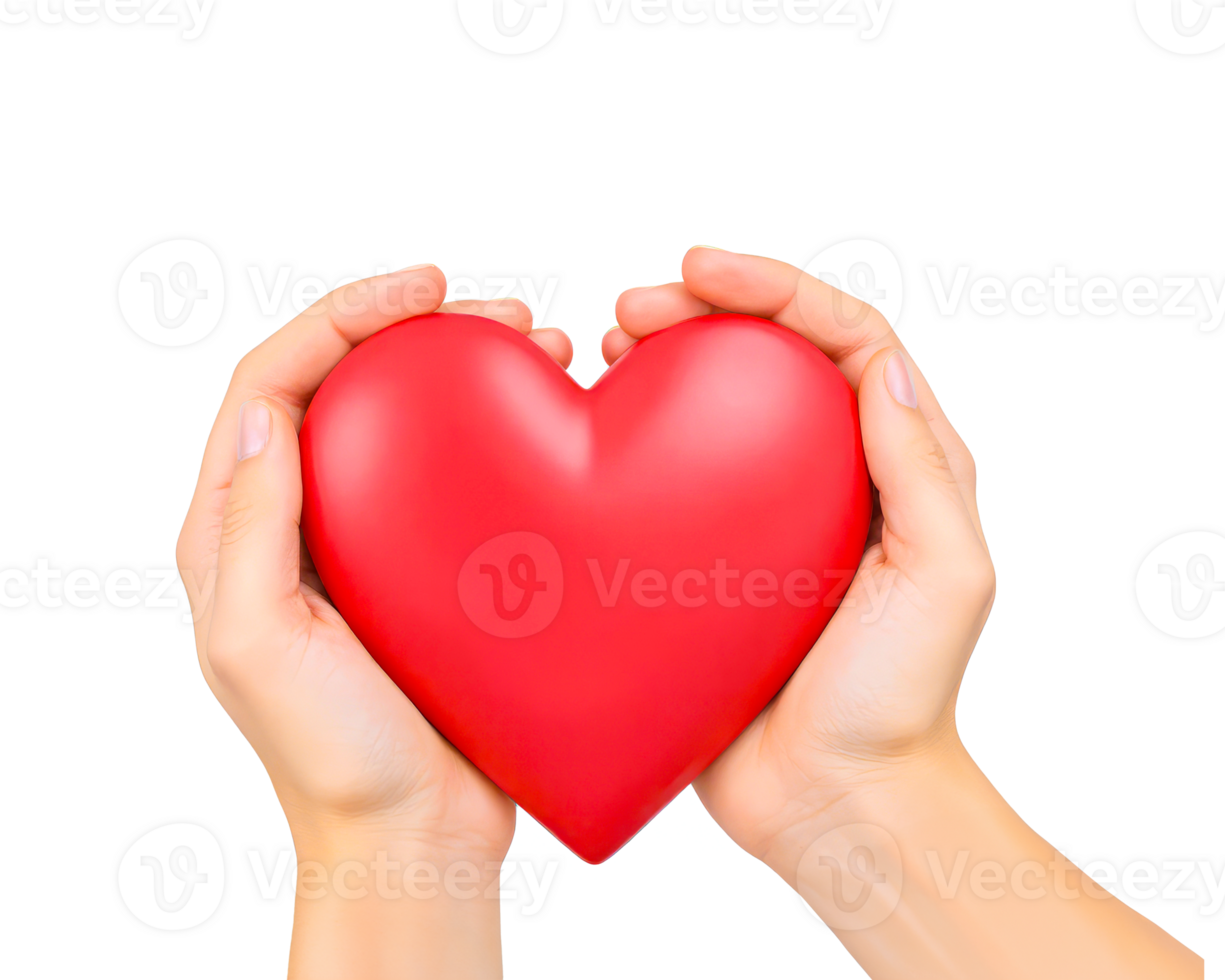 Two fair skin hands holding a red heart, transparent background png