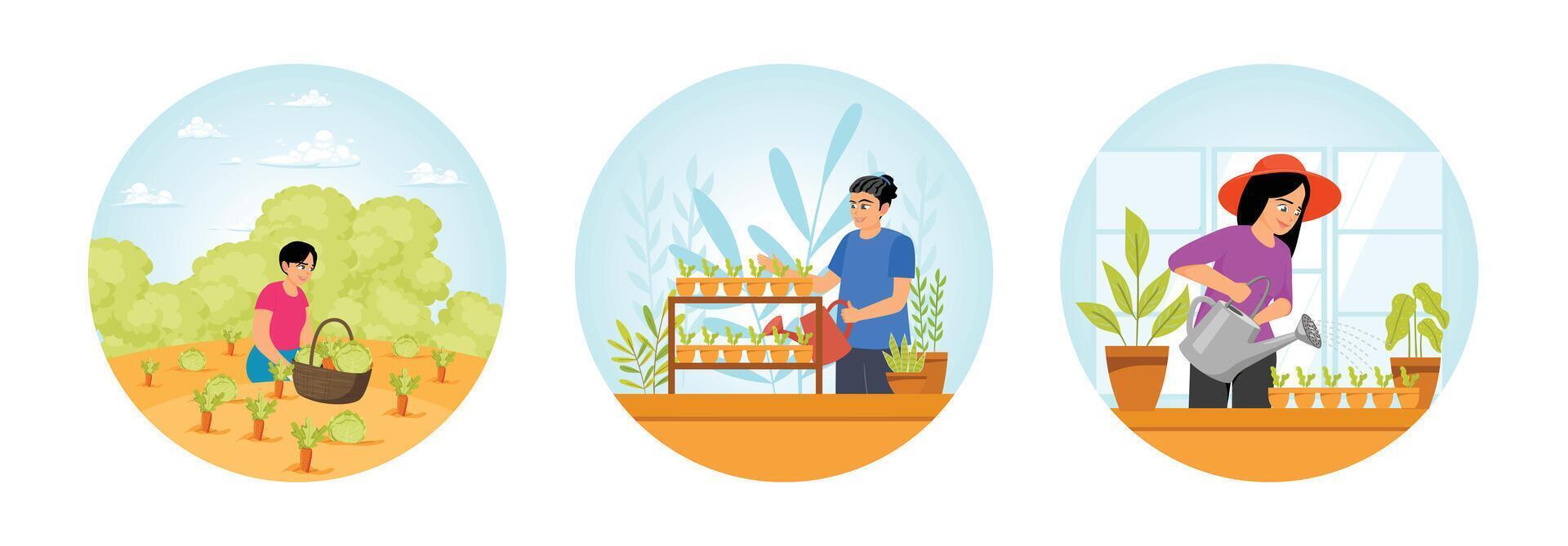 Woman Harvesting Vegetables in a Garden. Man Watering plants. Woman Watering Fresh Herbs. vector