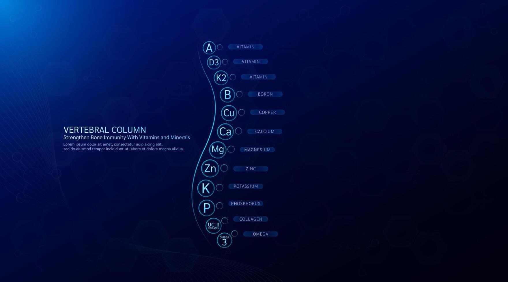 Vertebral column. Strengthen bone immunity with vitamins minerals collagen and calcium zinc magnesium protect and bone spine joint cartilage. On blue background. vector
