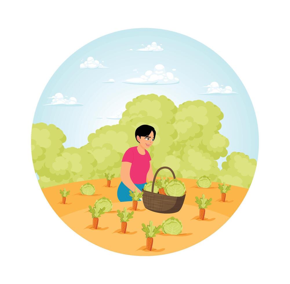 Woman Harvesting Vegetables in a Garden on a Bright Sunny Day. vector