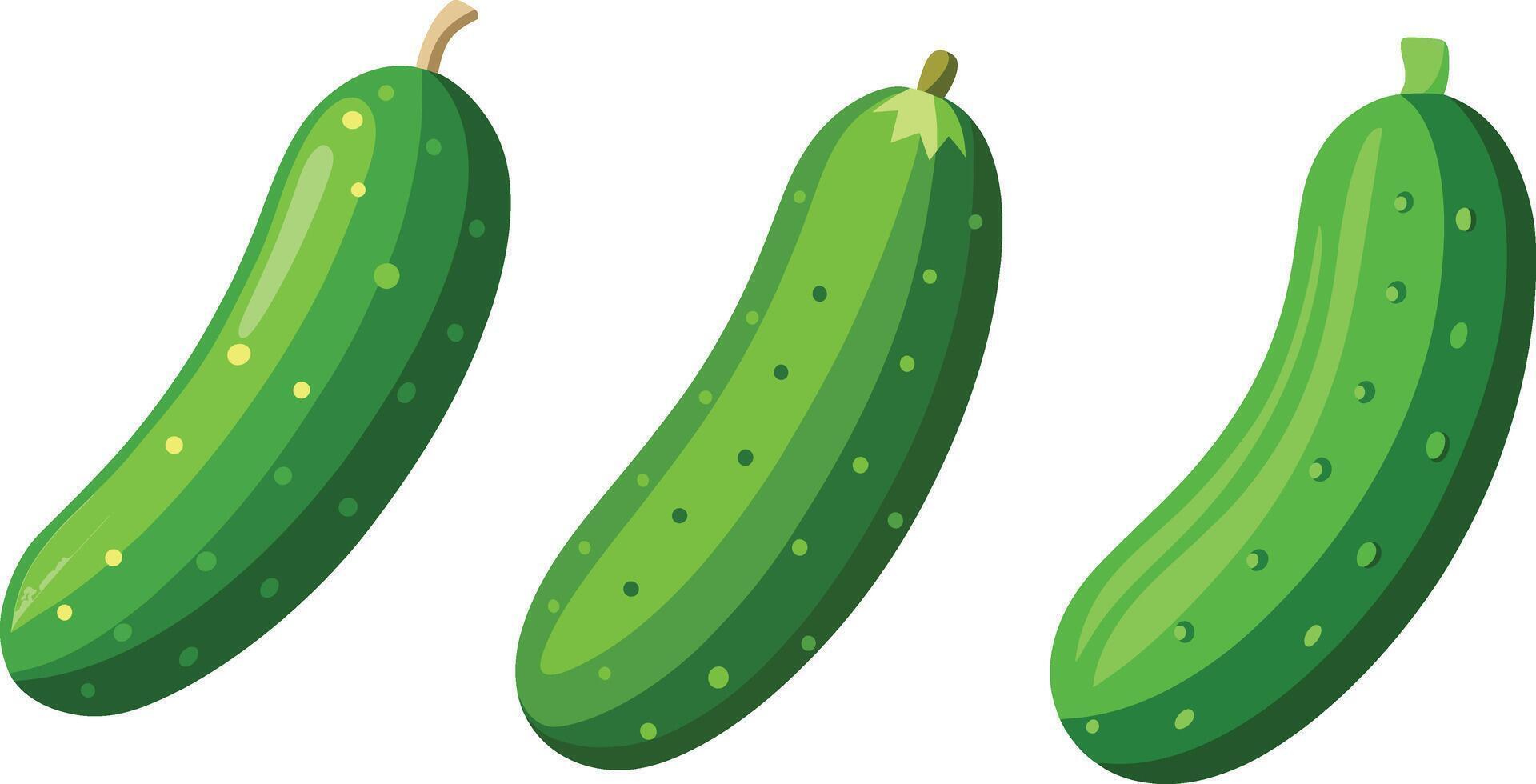 Three green cucumbers are shown on a white background vector