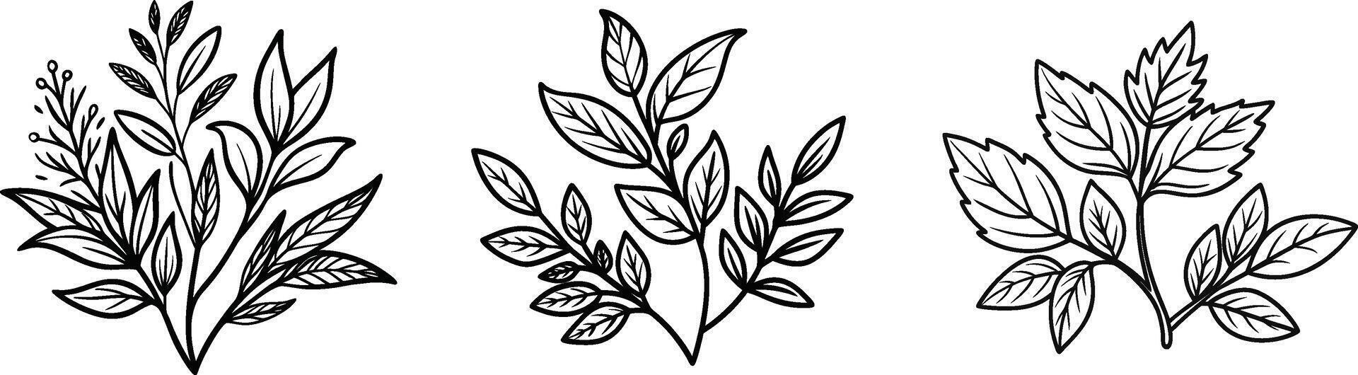 Three different types of plants are shown in black and white vector