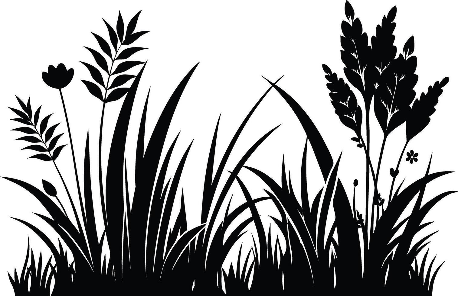 Silhouette of grass and flowers on a white background vector