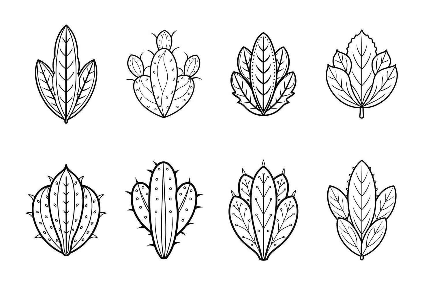 Cactus plants in different shapes and sizes vector
