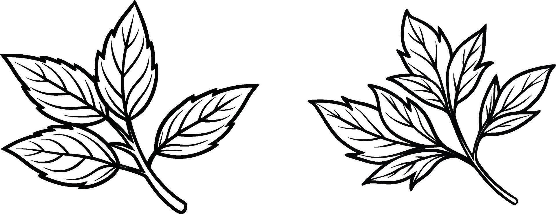Two leaves with leaves on them vector