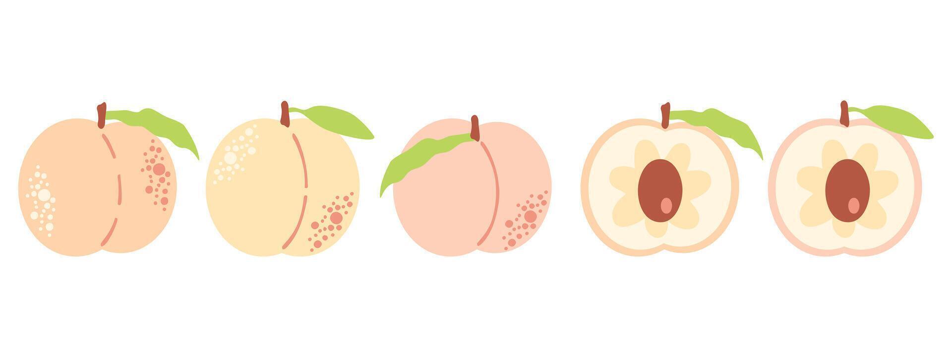 Flat peach variations clipart collection. Perfect art for stickers, poster, label, sale, card. Hand drawn illustration for decor and design. vector