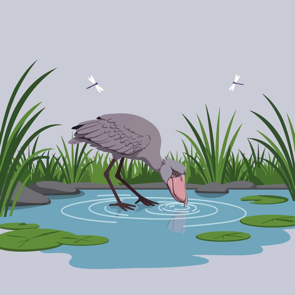 Shoebill Stork Drinking Water in Pond with Dragonflies Illustration vector