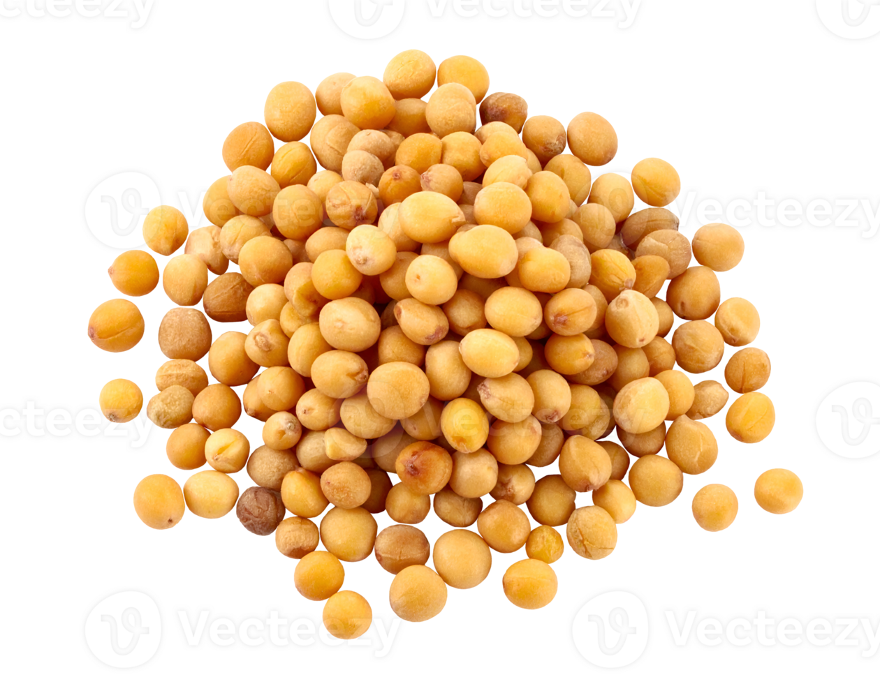 realistic close up of mustard seeds in pile on isolated background for spice and cooking ingredient concept png