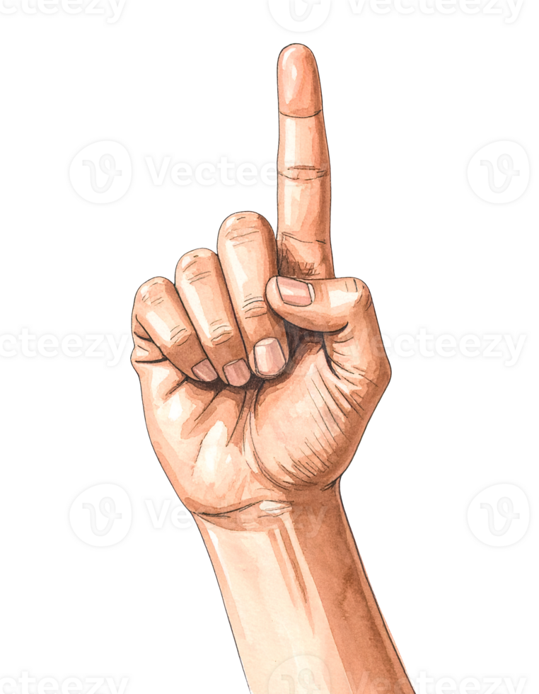 watercolor illustration of hand pointing upward with index finger raised isolated on transparent background png