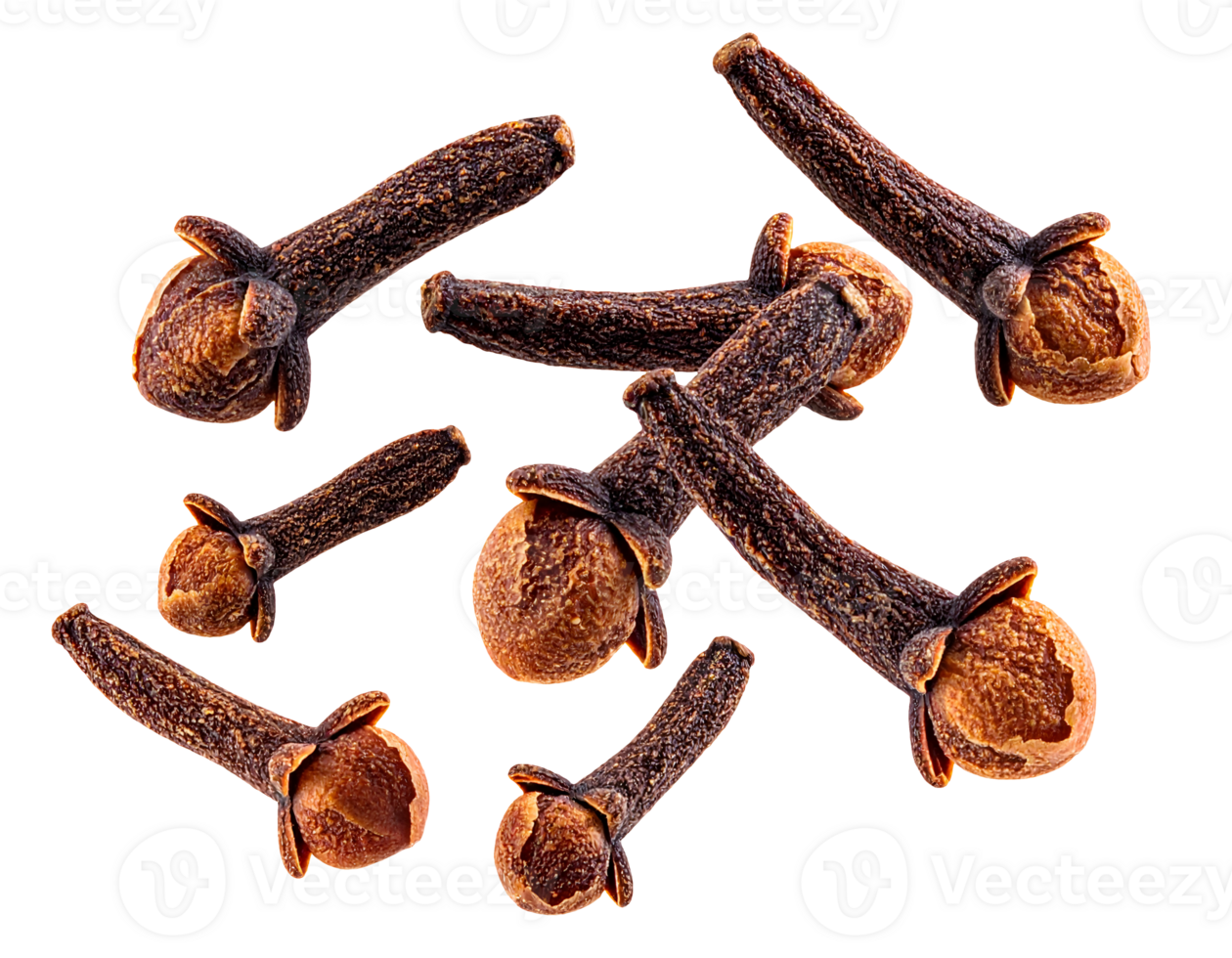 realistic top view of dried cloves scattered in group on isolated background for spice and herbal ingredient concept png
