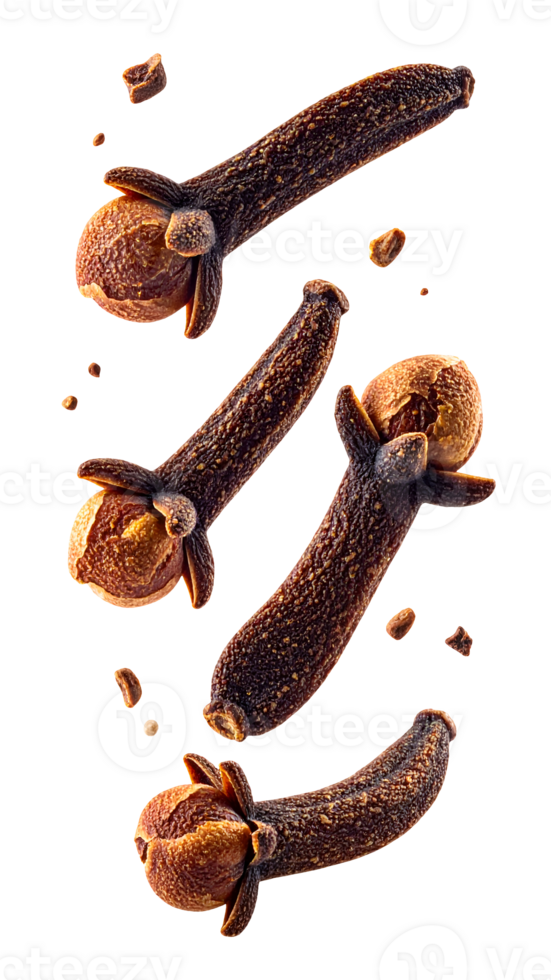 realistic dried cloves in slow falling motion with floating particles on isolated background for spice and herbal ingredient design png