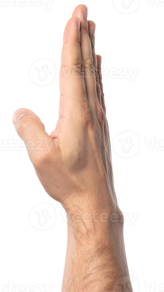 realistic human hand in vertical side view with fingers pressed together in silencing or stop gesture, isolated male hand symbol for quiet or attention on isolated background png