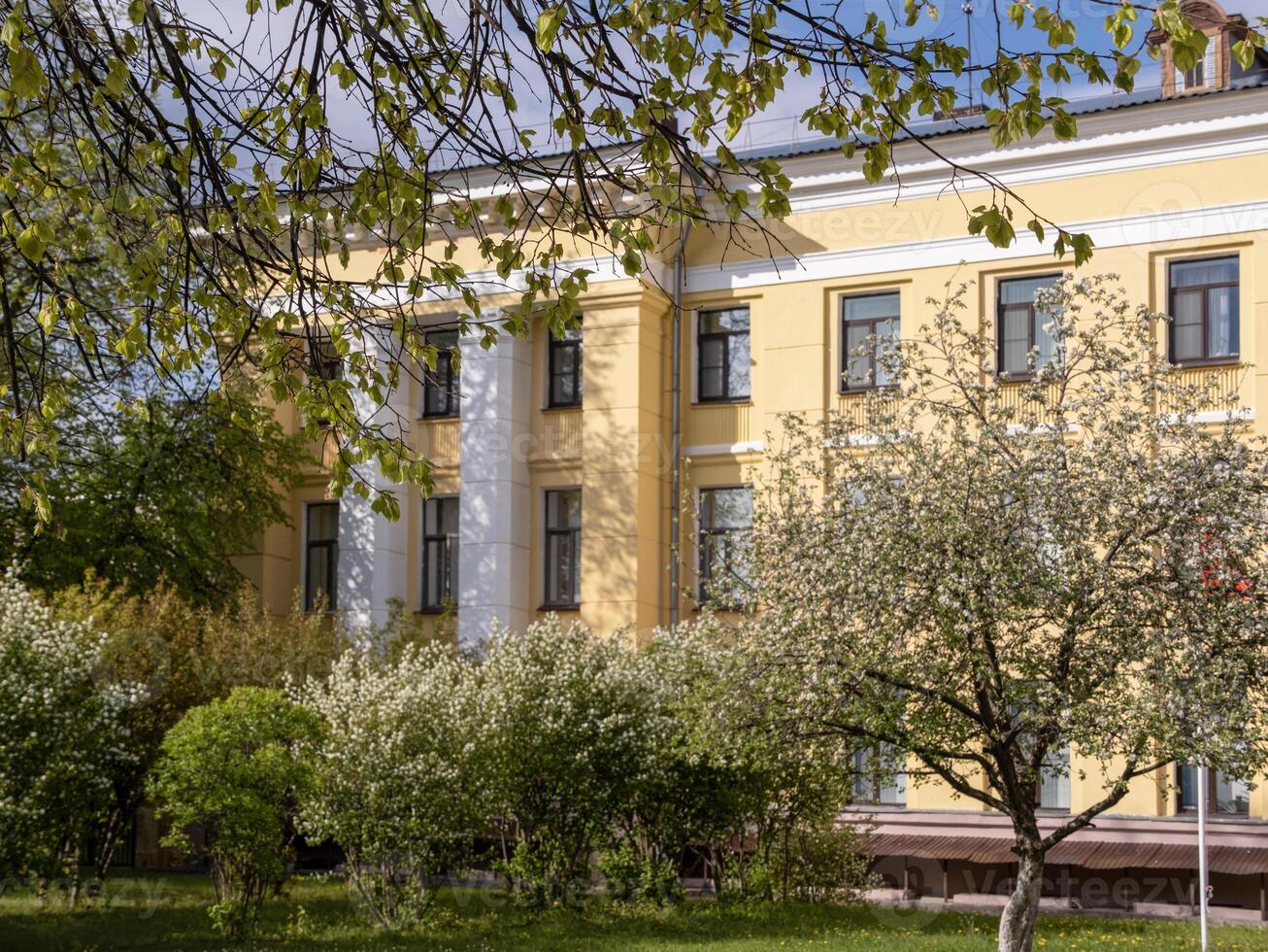 yellow administrative building on a sunny day among flowering trees, selective focus photo