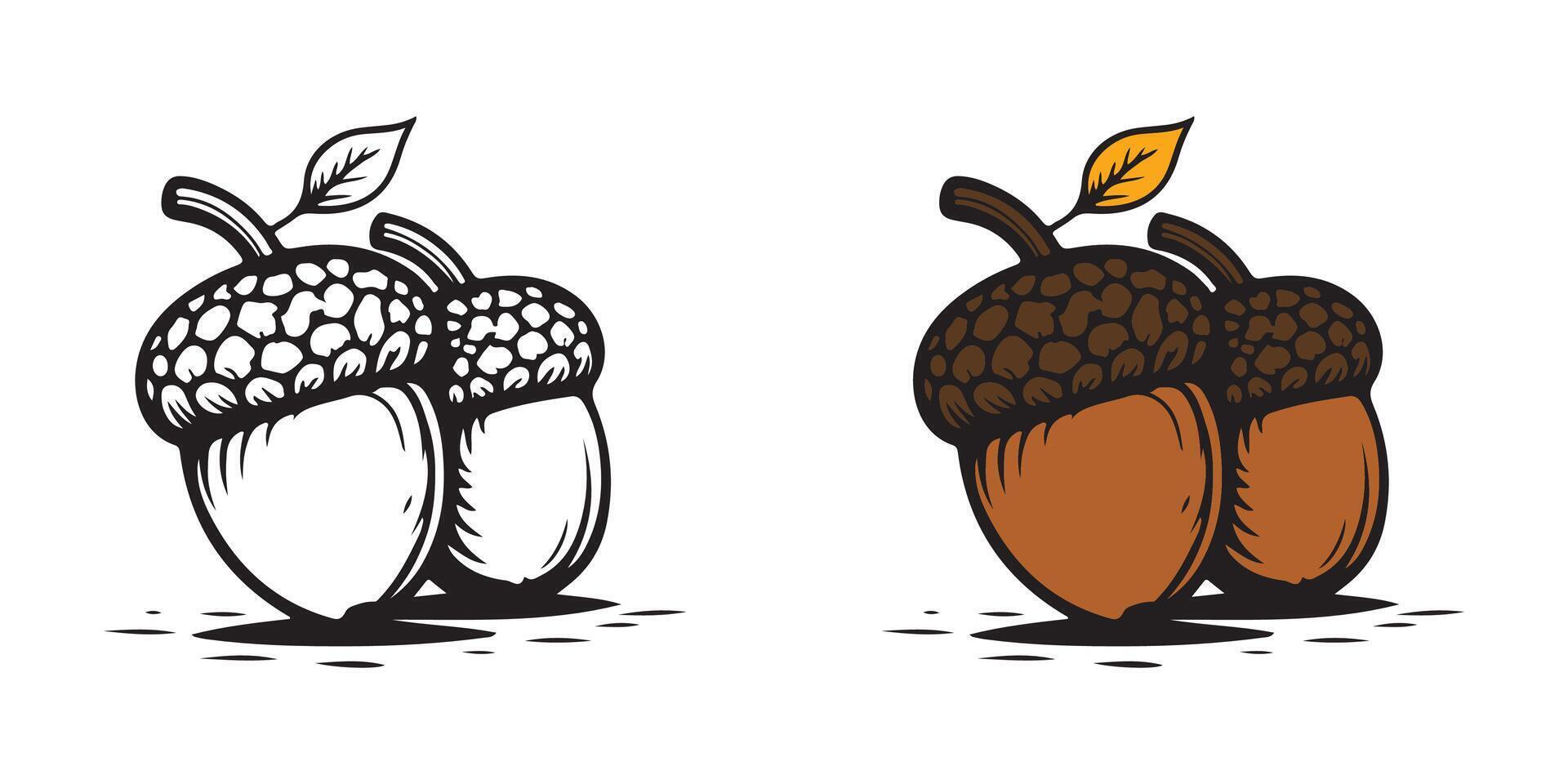 Two acorns with leaves and leaves on them vector