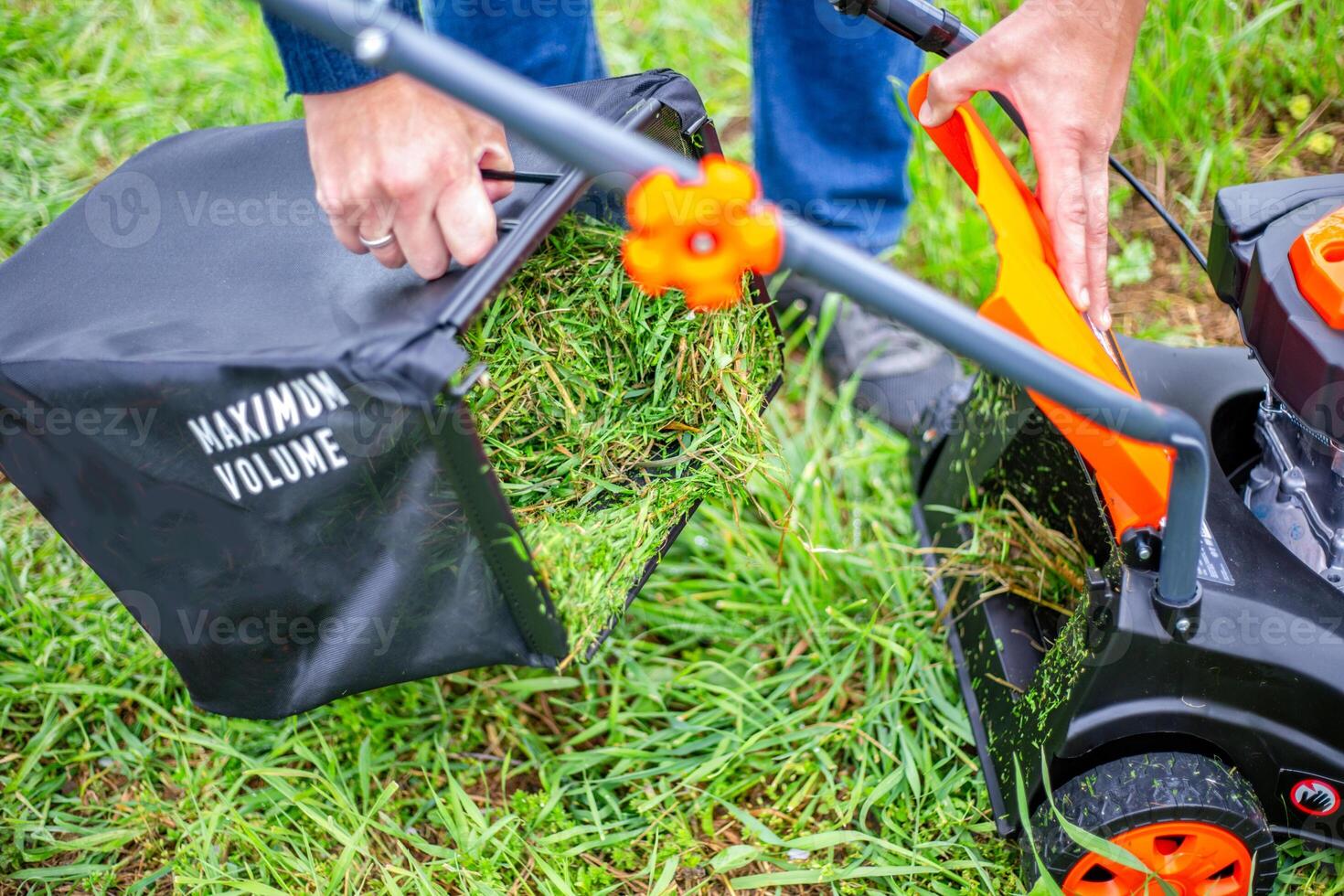 Mowing grass with a petrol lawn mower in spring. The man detached the container with the mown grass to put it in the compost photo