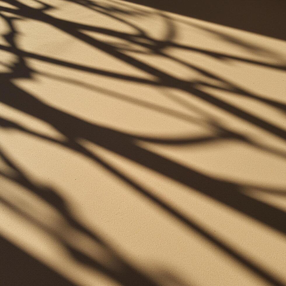 A shadow of a tree on a wall photo