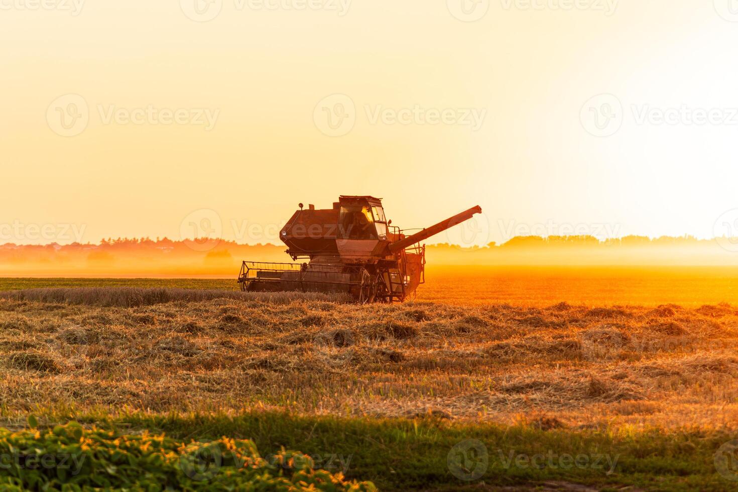 Combines harvest grain on a rural field as the sun sets, casting a warm glow over the landscape and machinery photo