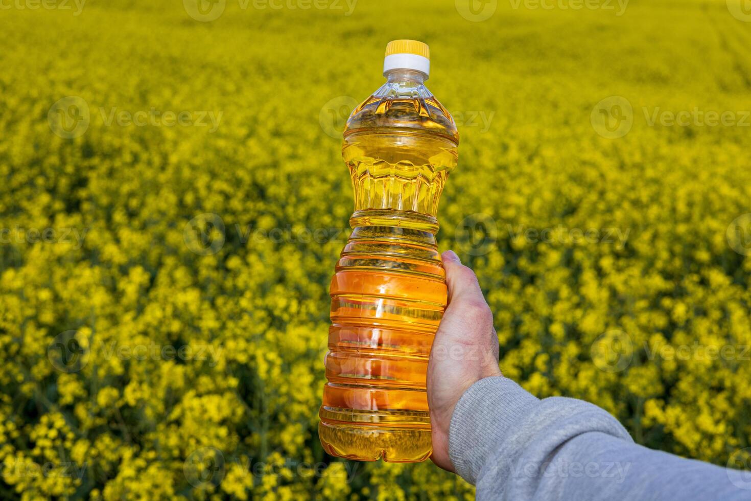 A hand holds a bottle of canola oil in a vast field of blooming rapeseed flowers, illustrating the connection between farming and the environment photo