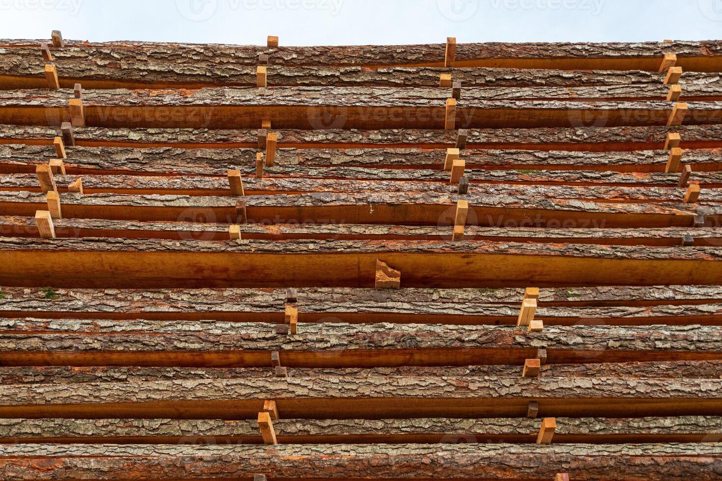 Wooden logs are organized in neat rows, showcasing their natural bark, in a lumber yard on a cloudy afternoon photo
