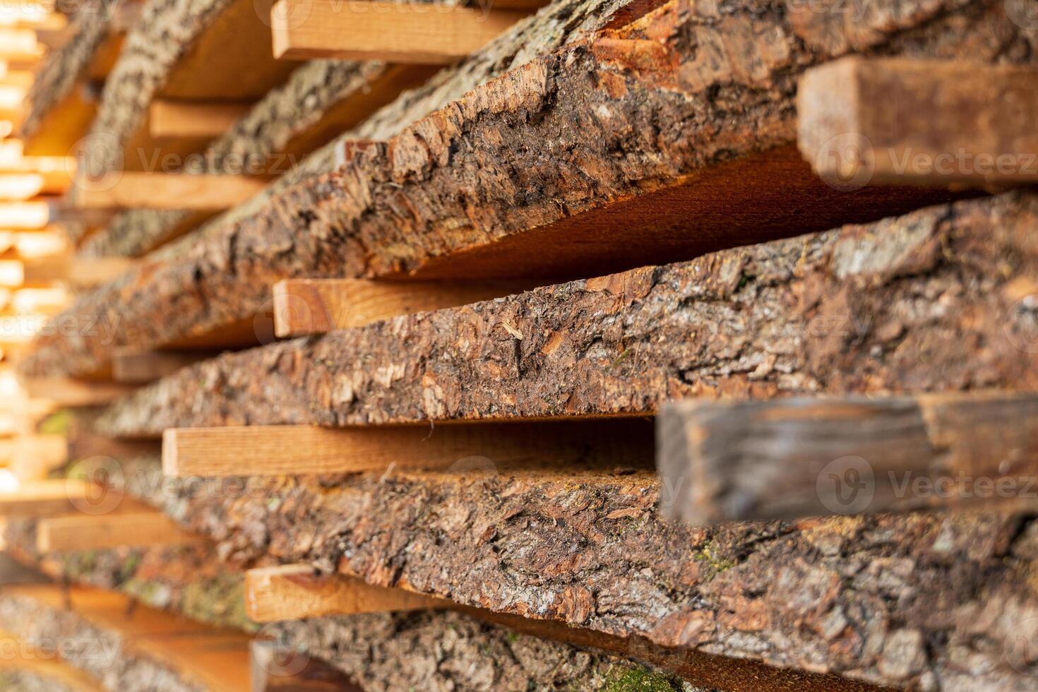Stacks of logs are arranged orderly, emphasizing their natural bark and wood grain under soft daylight, suggesting timber preparation photo