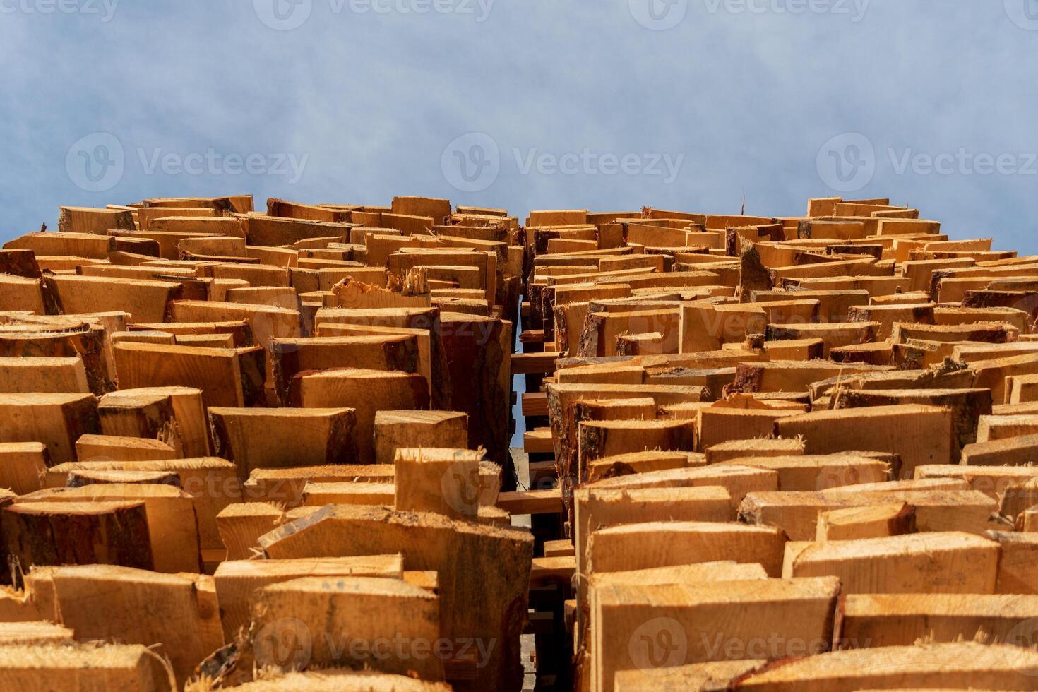 Freshly cut wood logs are stacked in a neat arrangement, reaching toward the blue sky on a sunny day in a rural wood yard photo
