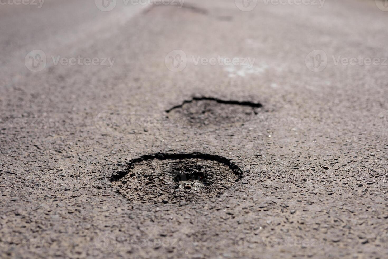 Deep paw prints are visible in a weathered asphalt surface, indicating animal activity in a sunny outdoor setting, likely after recent rain photo