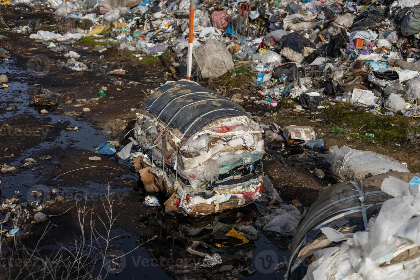 Piles of trash and debris clutter a roadside in a neglected area, highlighting environmental concerns and poor waste management practices photo