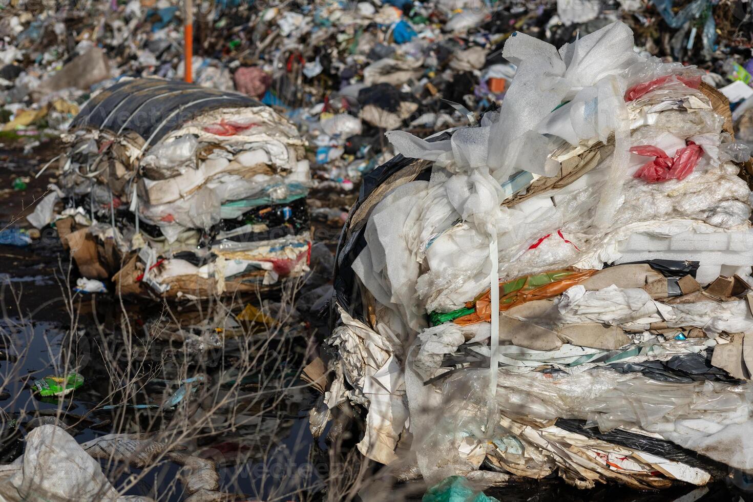 Mountains of plastic and other waste accumulate at a landfill, highlighting the critical challenges of pollution and recycling efforts in ecosystems photo