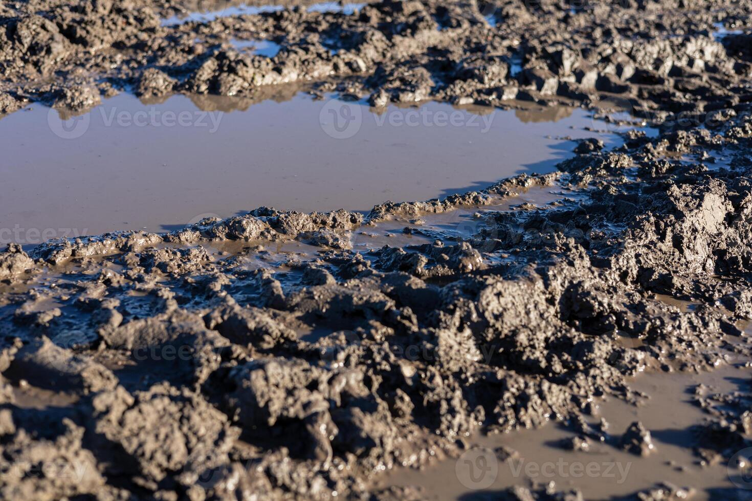 Damp ground shows uneven, muddy patches with visible puddles reflecting sunlight following recent rains in a rural landscape photo
