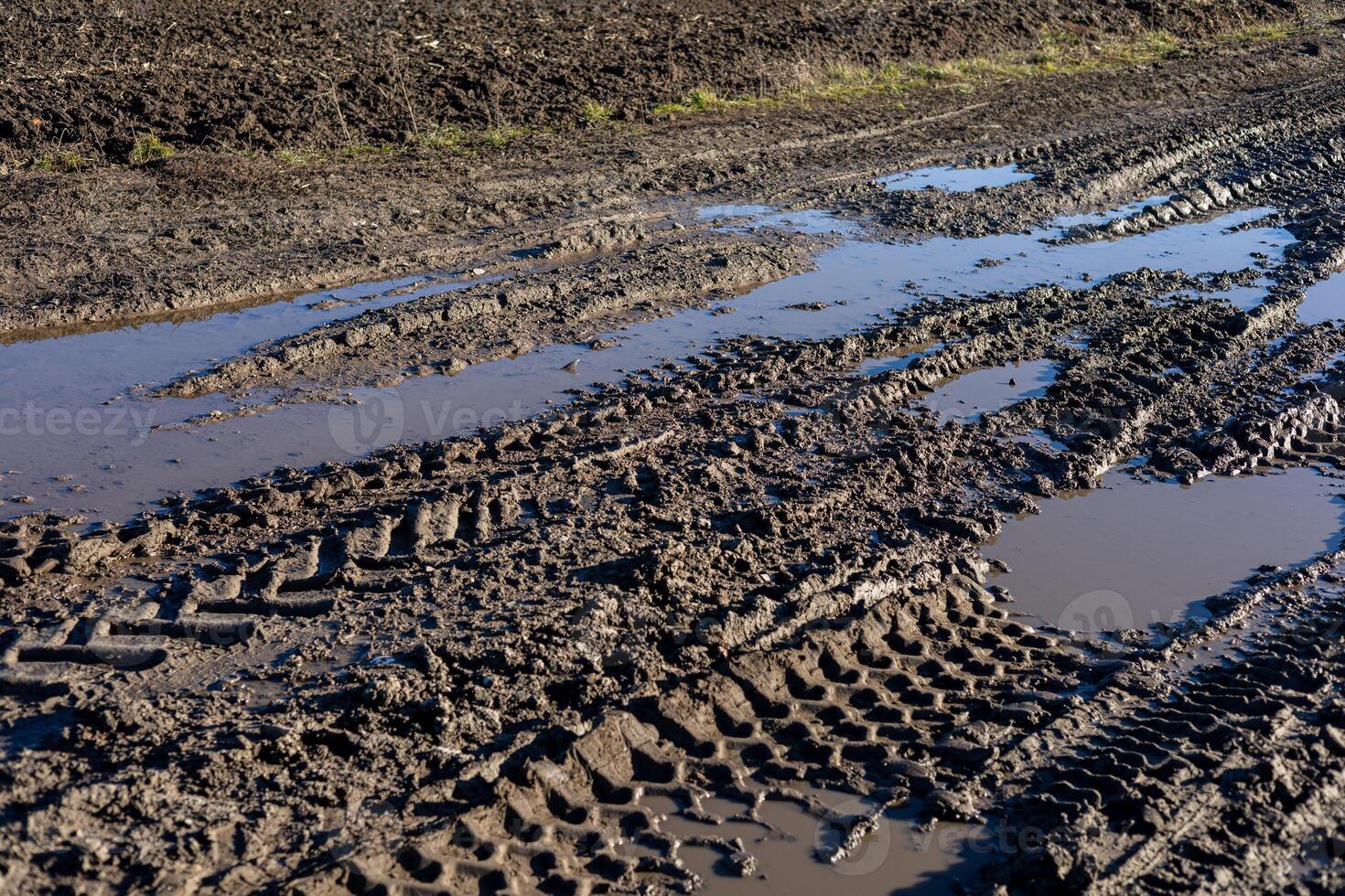 Tire tracks in wet mud create patterns on the field, reflecting recent rain and vehicle activity in the rural landscape photo