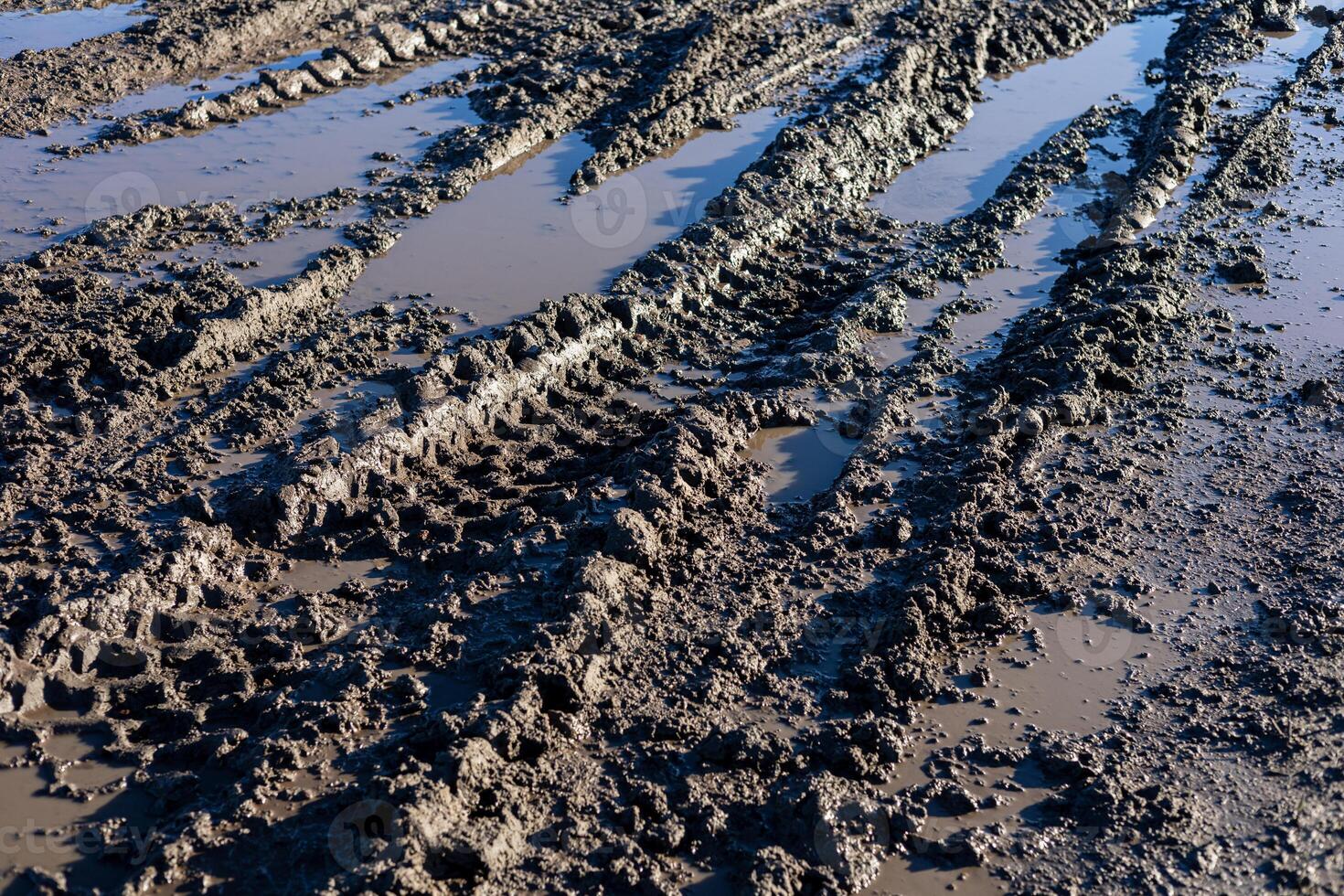 Tire tracks create patterns in wet soil, reflecting recent rainfall in an outdoor landscape. The ground has a muddy texture and pools of water photo