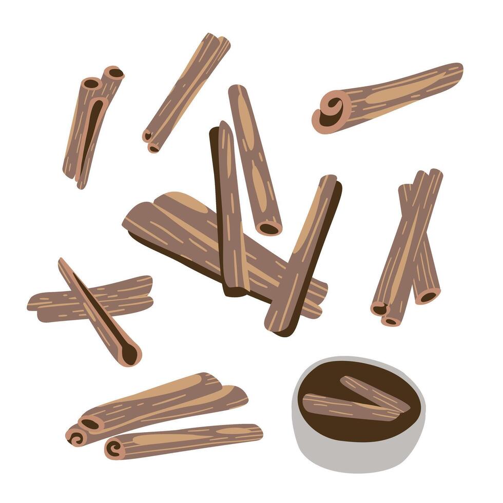 Herbal Medicine, Cinnamon vector