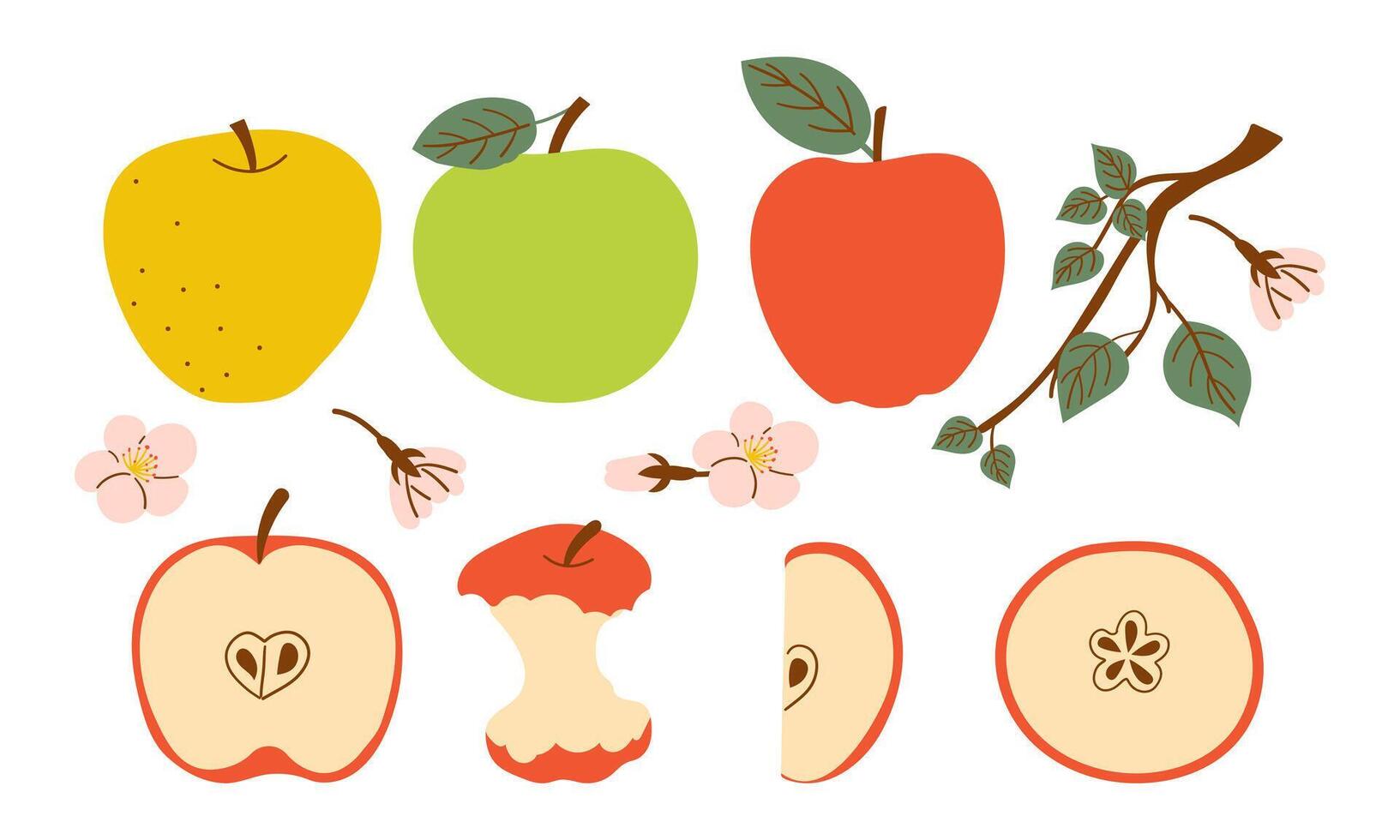 Whole apple and bitten red apple fruit icon . Red apples fruit icon set isolated on a white background . Hand drawn set of branch flower and various type of apple fruit . vector