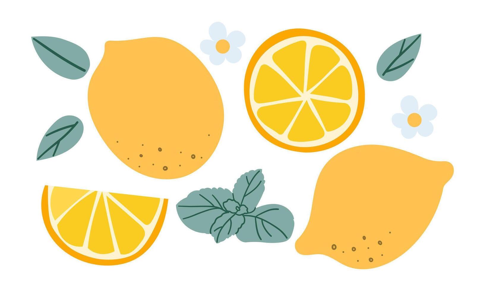 Fresh citrus fruits. Yellow juicy lemons, exotic natural product, sour taste, whole, cut, on twigs, zest and peel, flowers with leaves, lemonade ingredient, cartoon flat isolated set vector