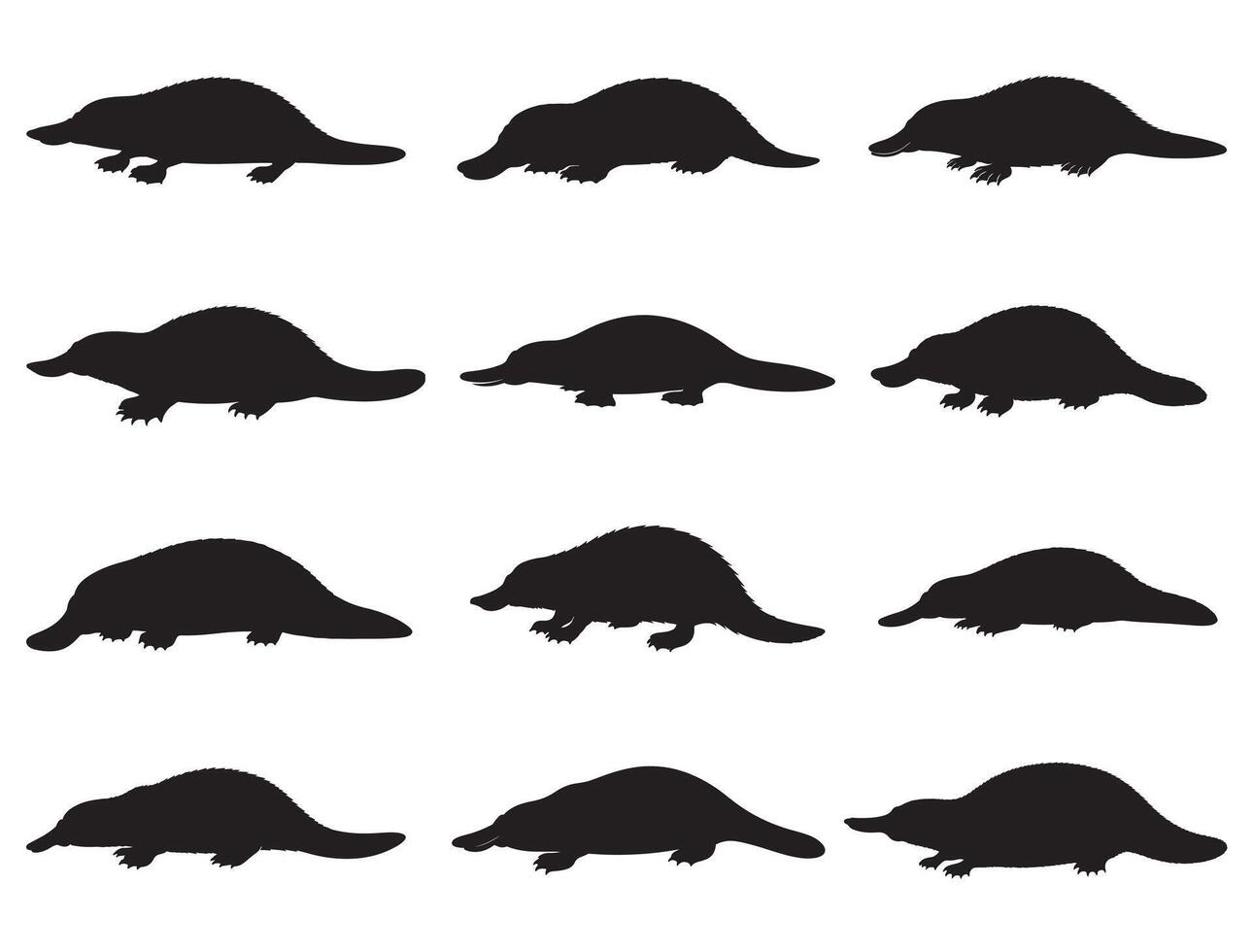 PLATYPUS SILHOUETTE WHITE BACKGROUND vector