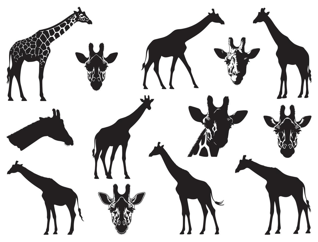 Giraffes Silhouette white background vector