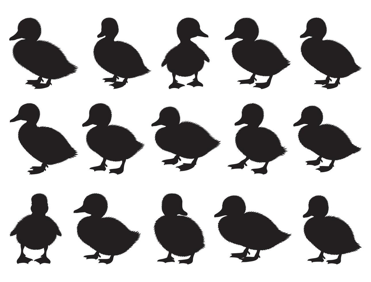 Duckling silhouette white background vector