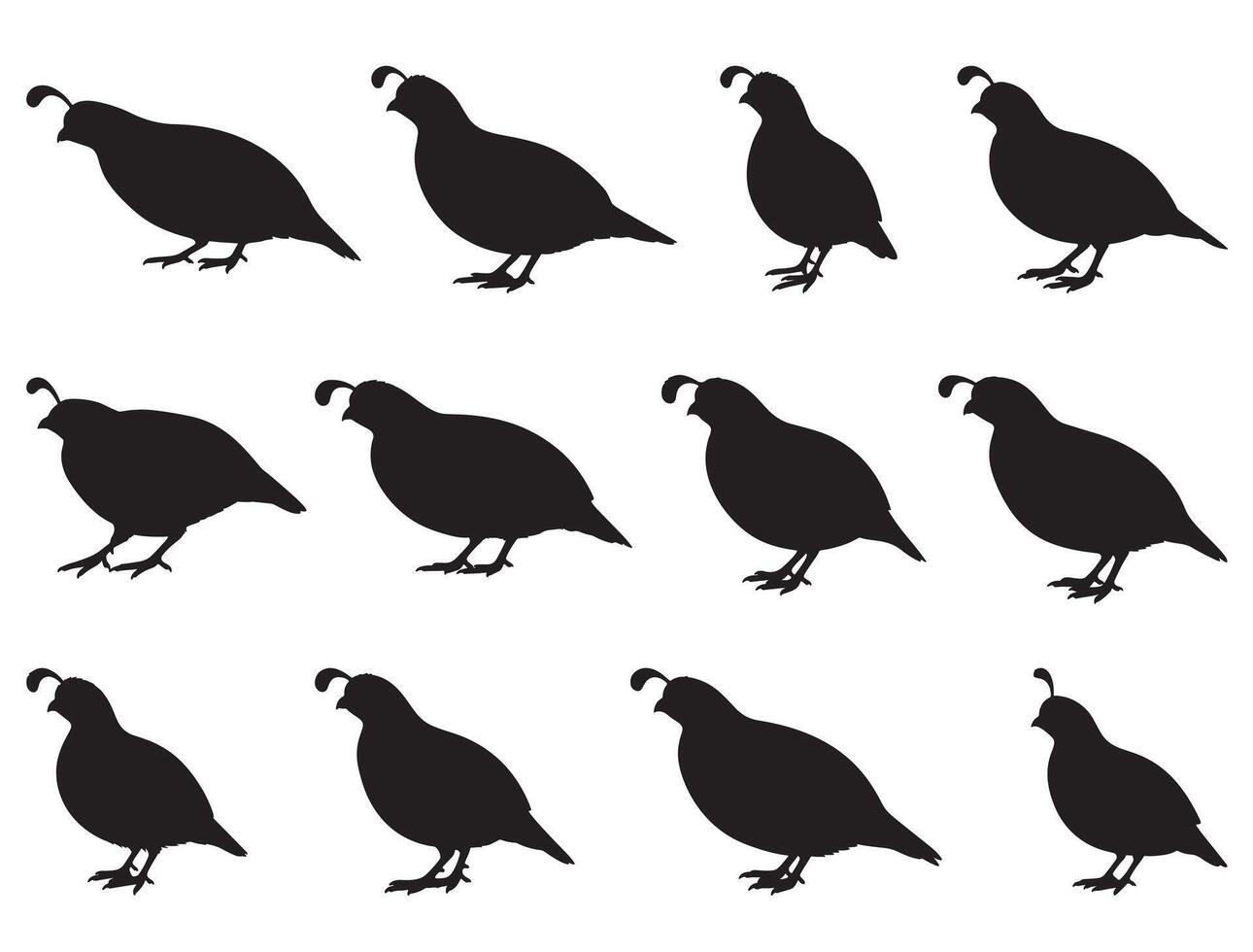 QUAIL SILHOUETTE WHITE BACKGROUND vector