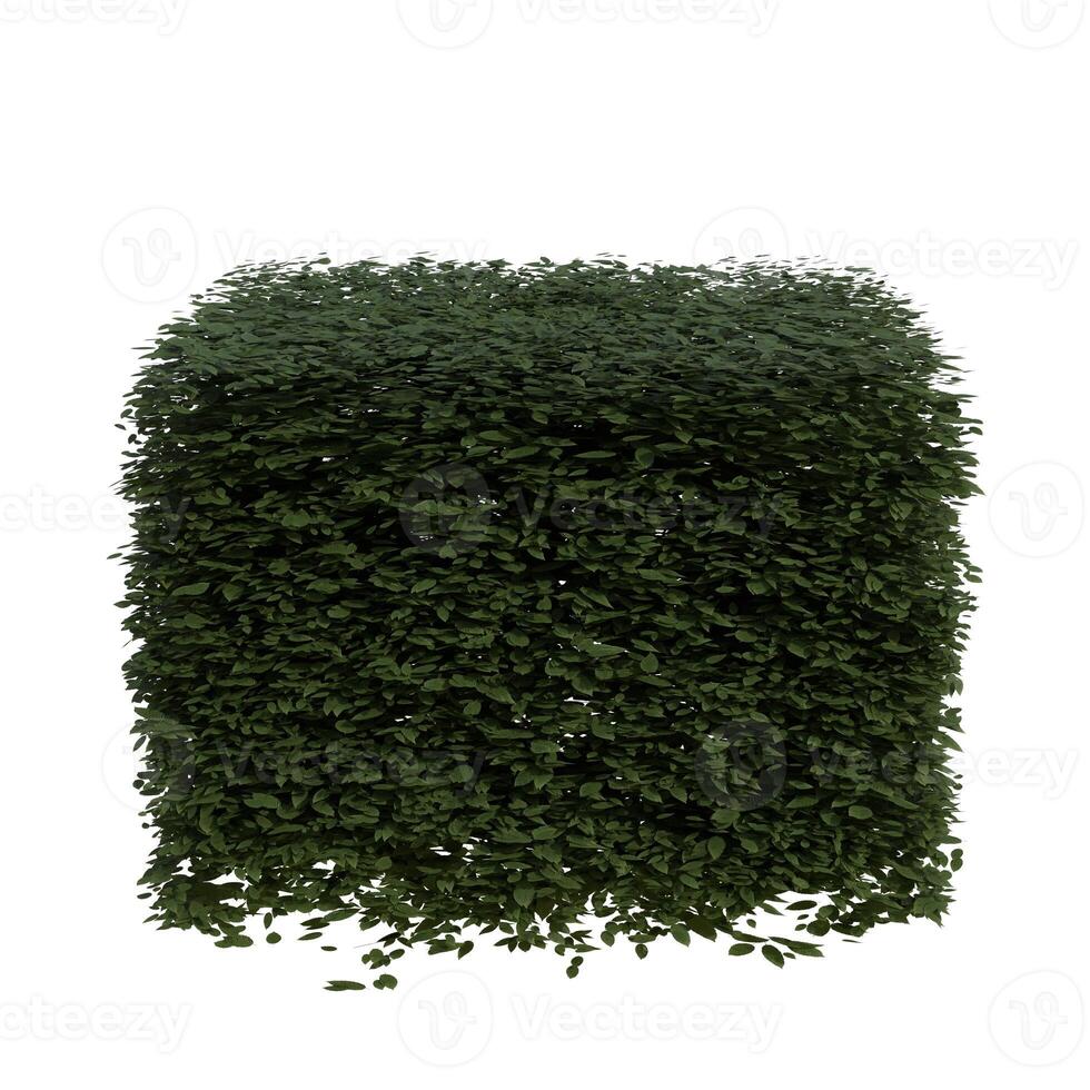 A 3d image of a green hedge photo