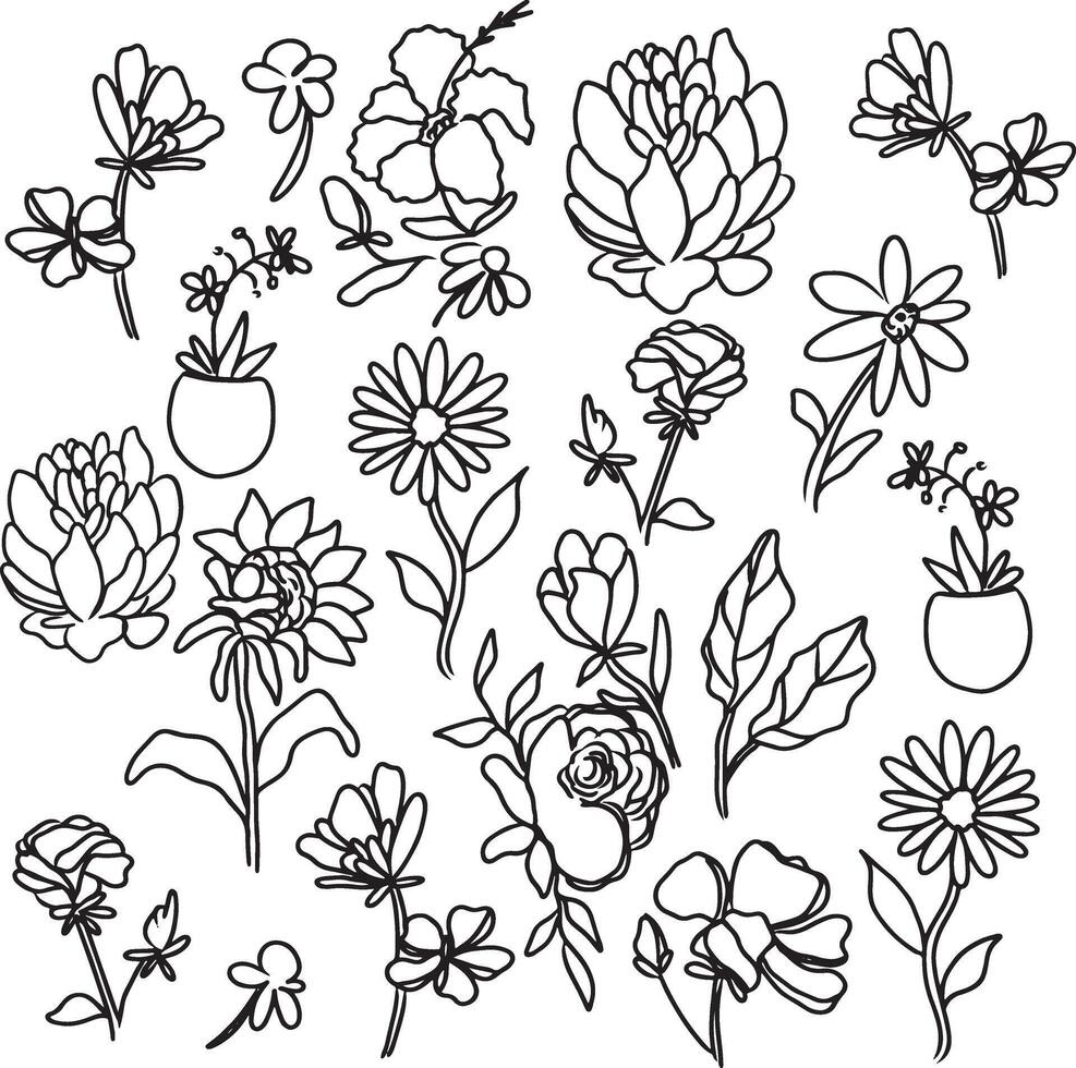 Hand-drawn Black and White Flower Line Art Collection vector