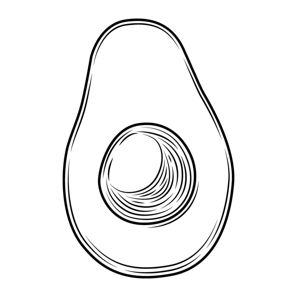 Black Avocado Slice with Pit Engraved Style Isolated on White Background. Tropical Summer Fruit Hand Drawn Illustration. Detailed Food Drawing for Label, Poster, Print. vector