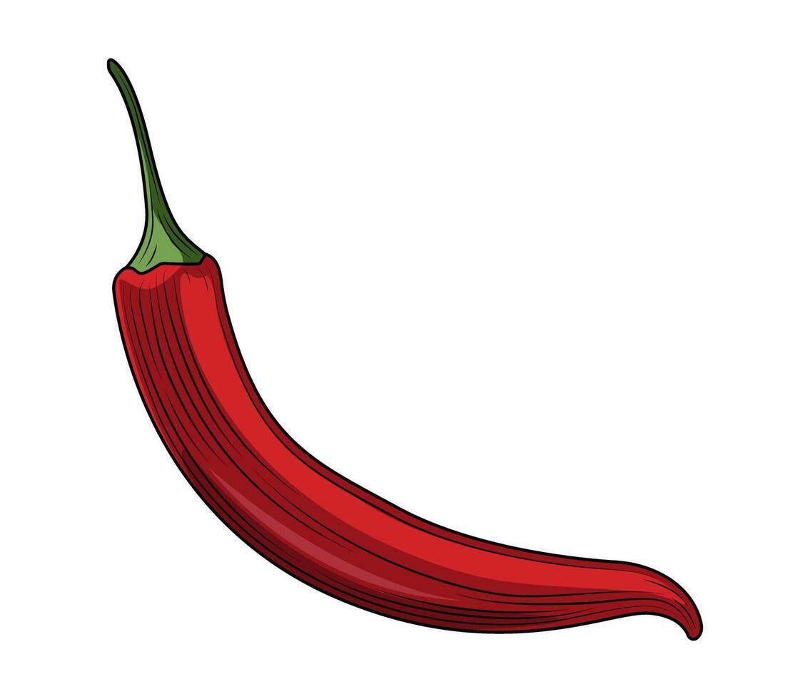 Red Chilli Pepper. Hot Chili Cayenne Pepper in Engraved Style. Organic Vegetable. Chile Hand Drawn Illustration. Detailed Food Drawing for Label, Poster, Print, Isolated on White Background vector