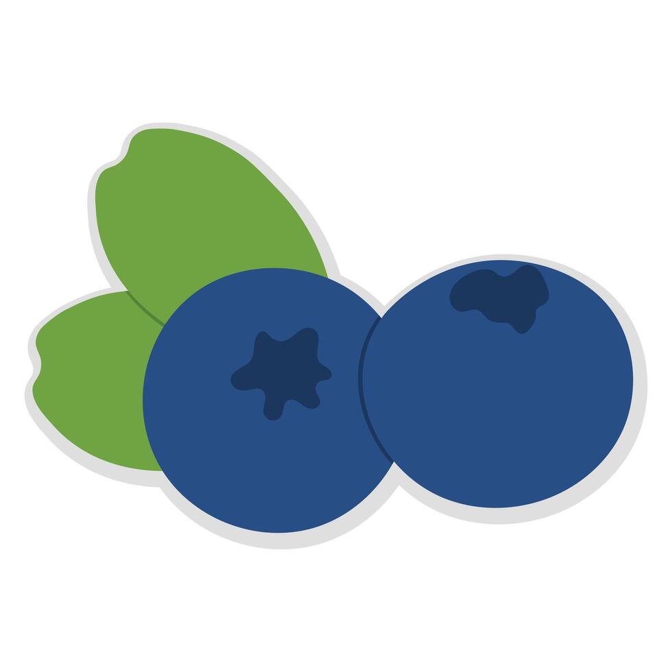 Blueberry abstract minimal style. Natural tropical fruits. vector