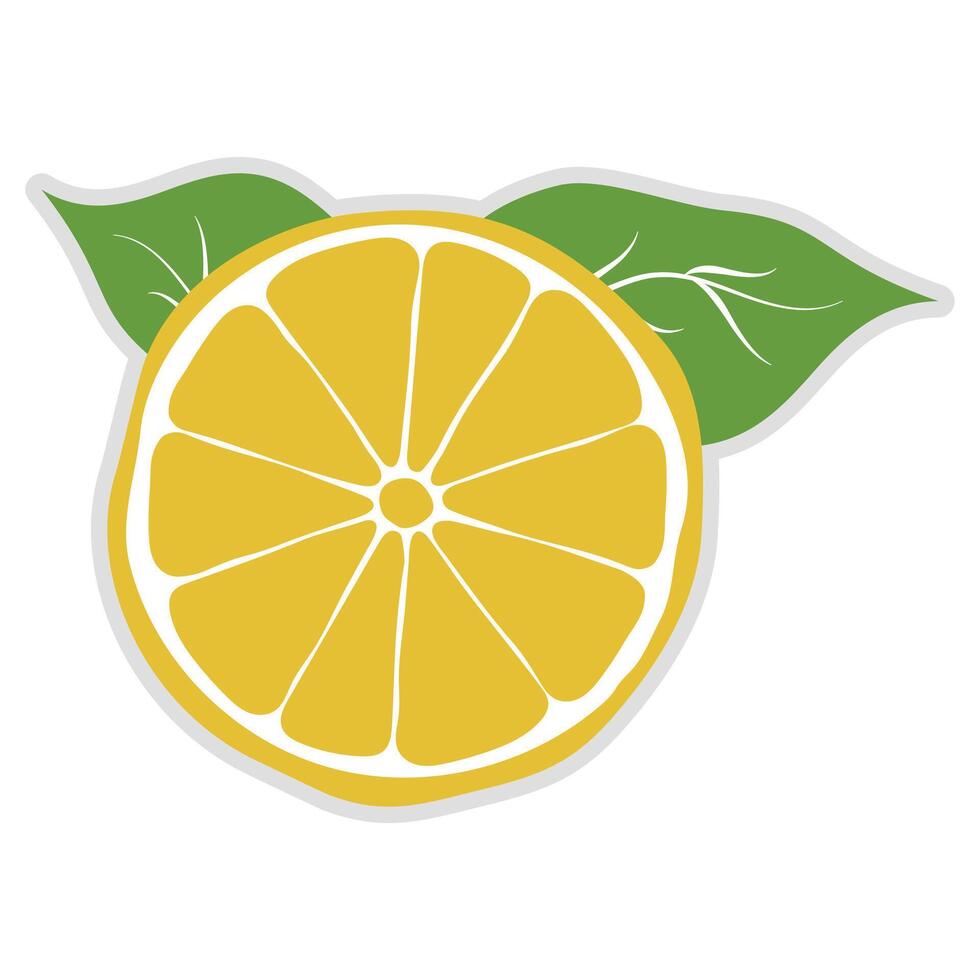 Organic food, natural product, healthy life and farm fresh for food and drink. vector