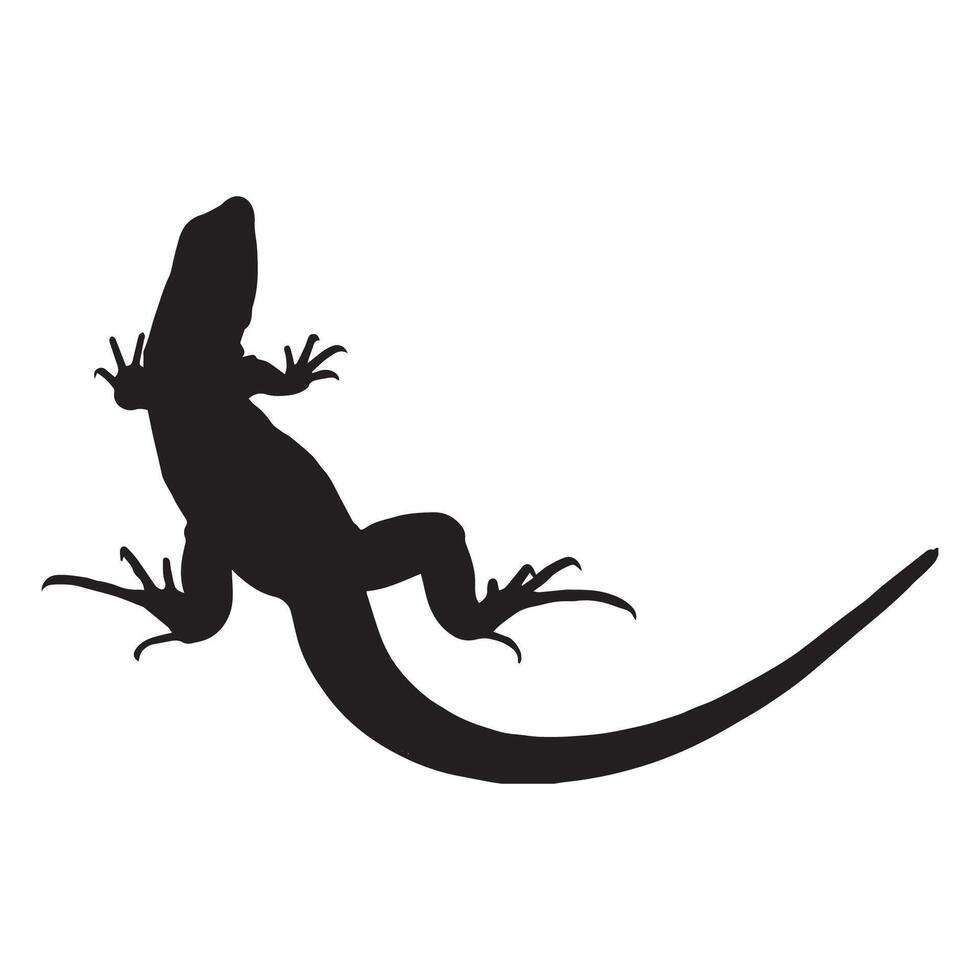 Lizard silhouette on white background illustration vector