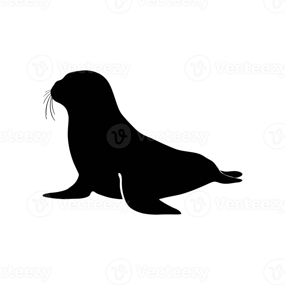 A cute black silhouette of a seal with distinctive whiskers cutouts png