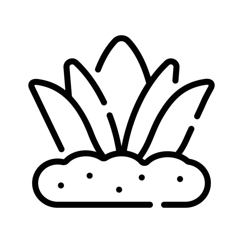 Check out this linear icon of agave plant vector