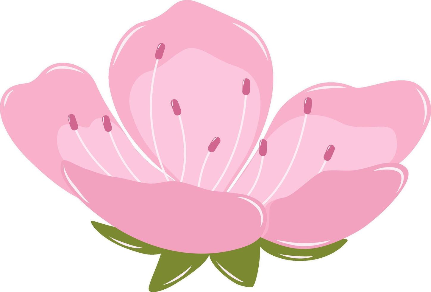 Half Blooming Cherry Blossom Flower. Flat and Simple Pink Sakura. vector