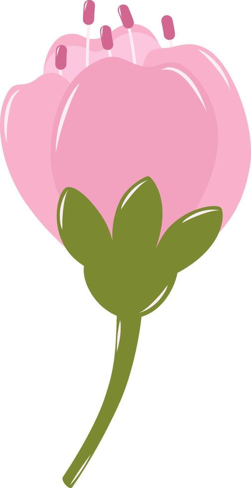 Bud of Cherry Blossom Flower. Flat and Simple Pink Sakura. vector