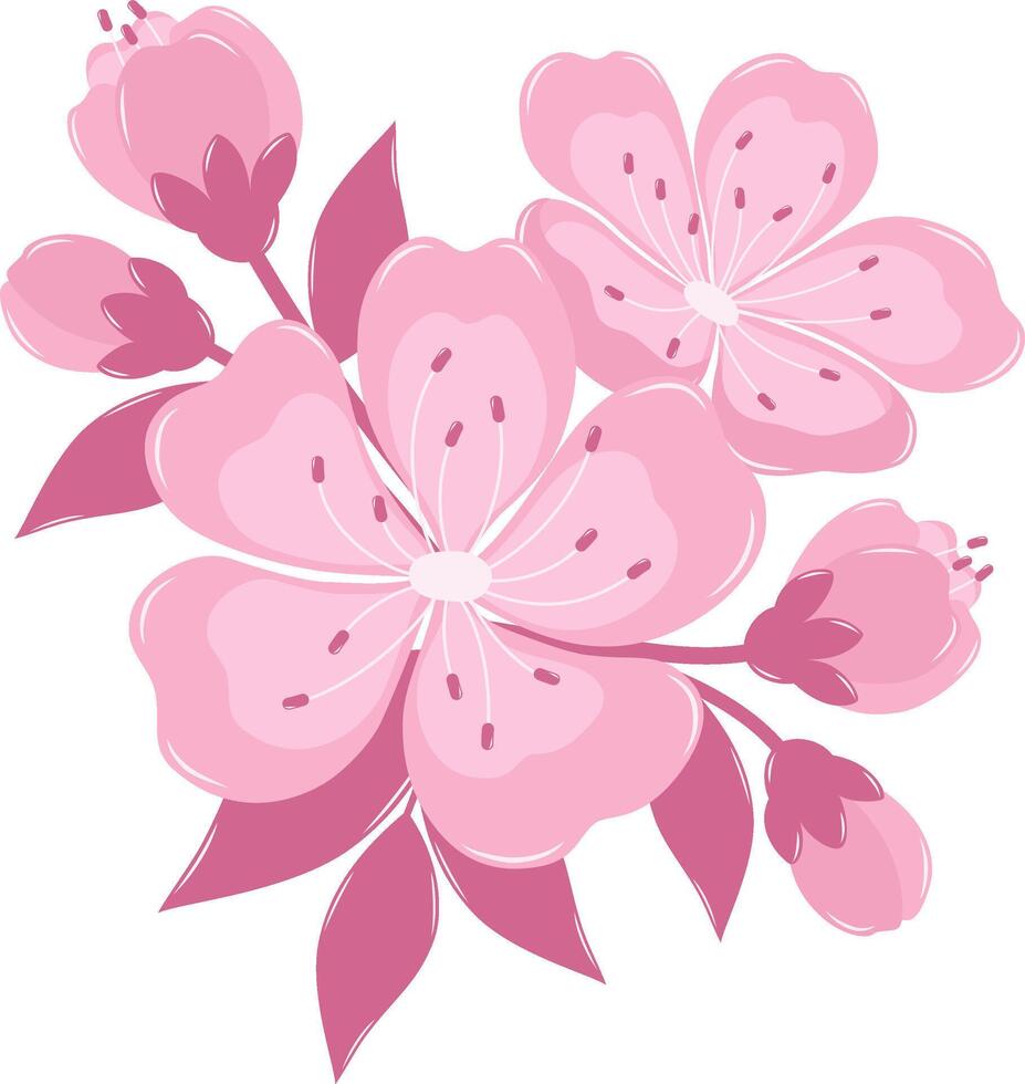 Cherry Blossom Flower Bouquet. Flat and Simple Pink Sakura. vector
